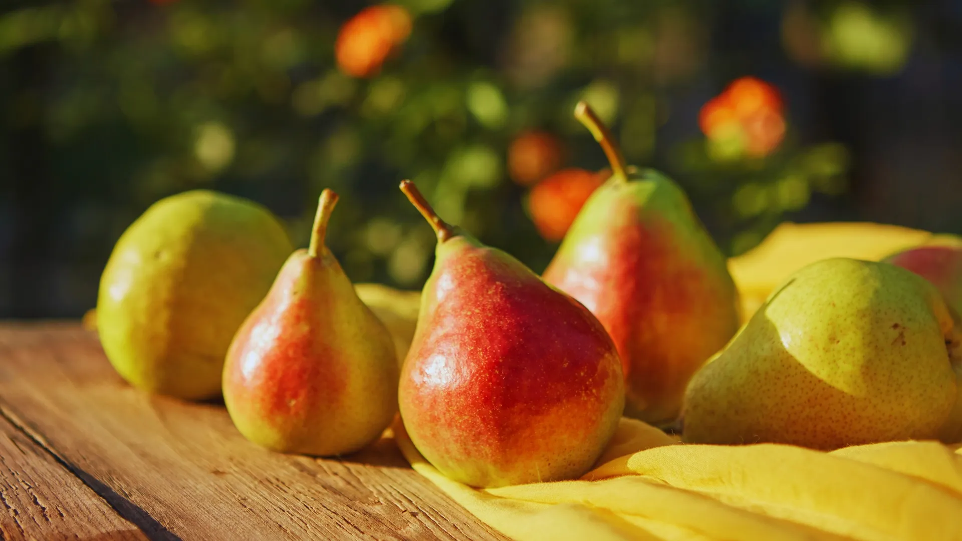 Gürsu Gooseberry