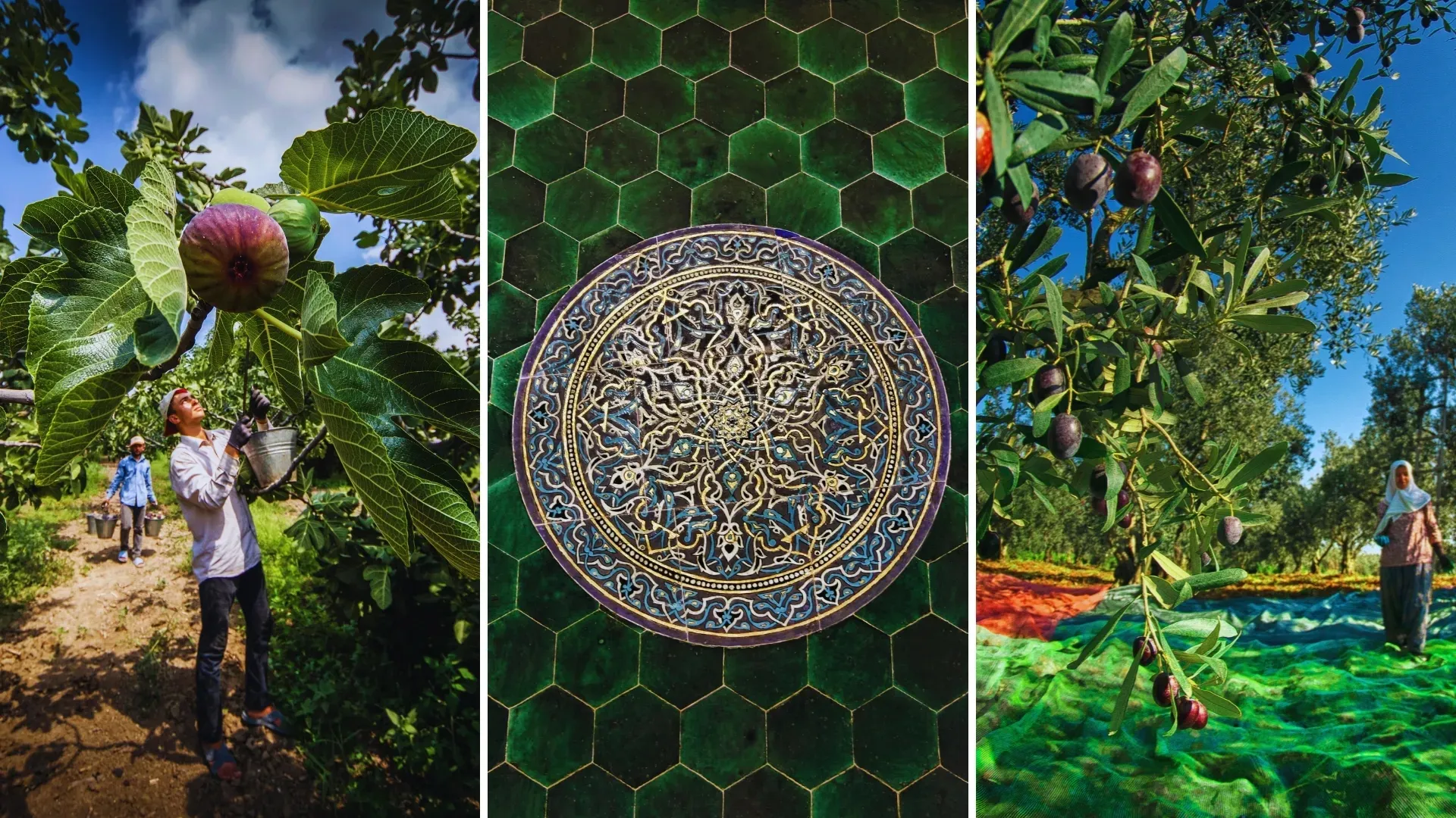 Geographically Indicated Products