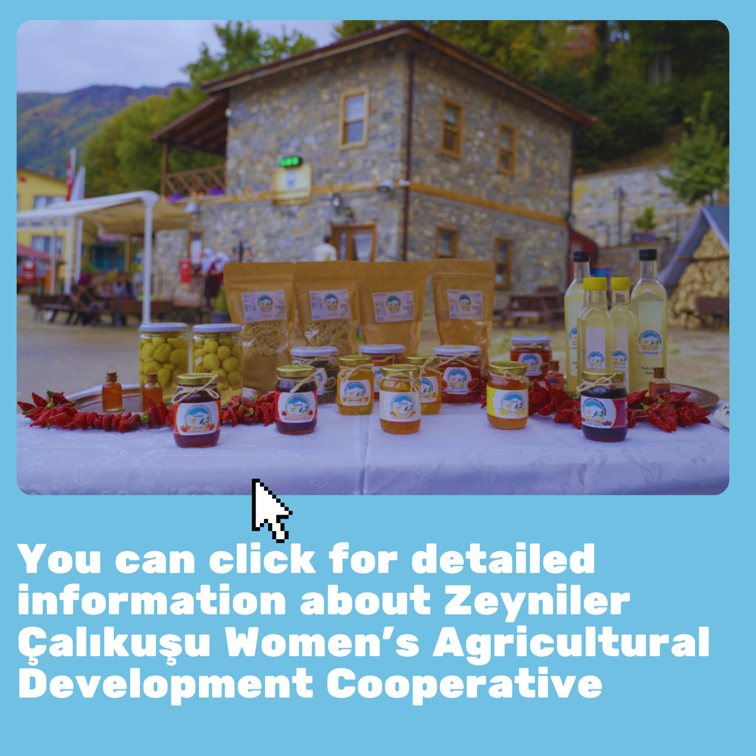 zeyniler2.png (2.72 MB)