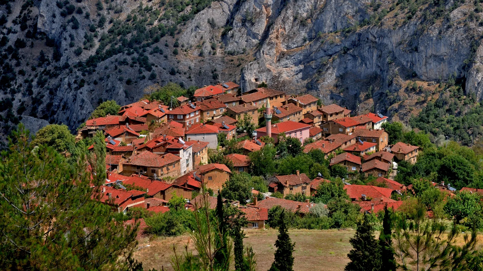 Gelemiç Köyü (Keles)