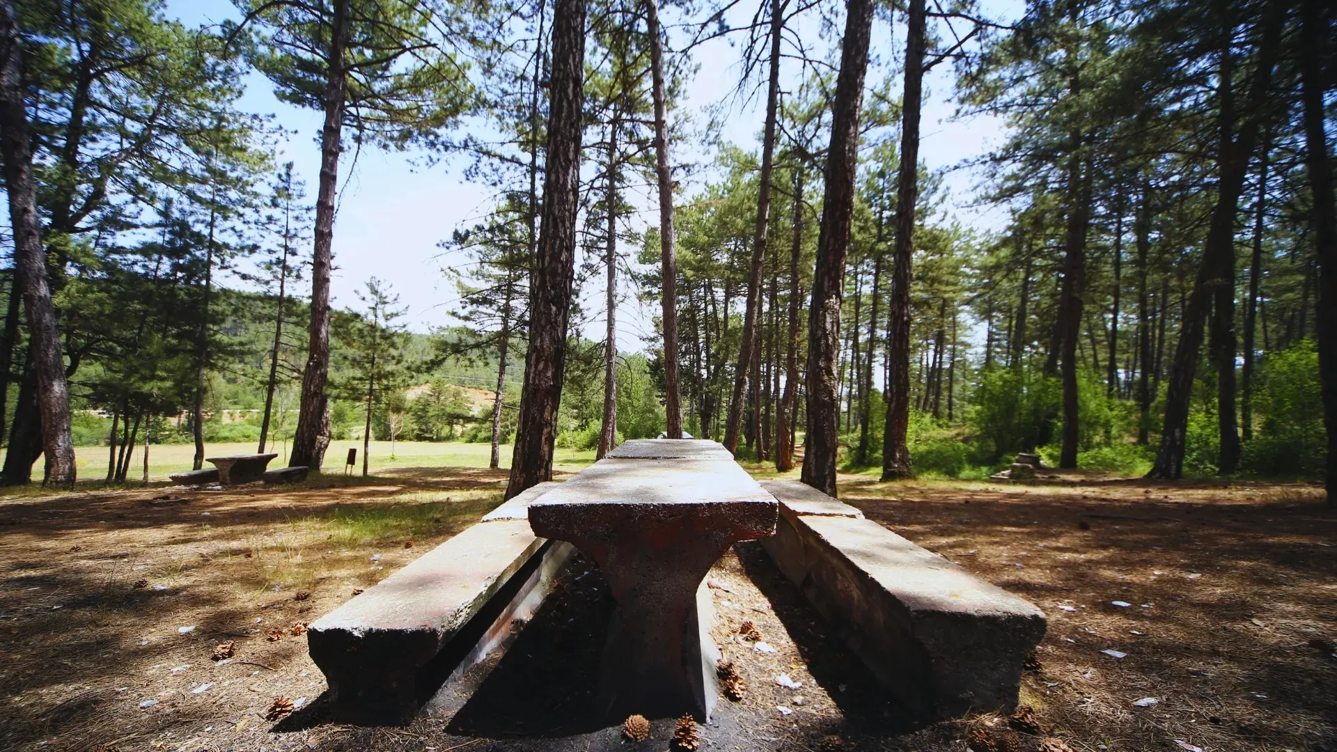 Uy qurilishi sochli mushuk porno video