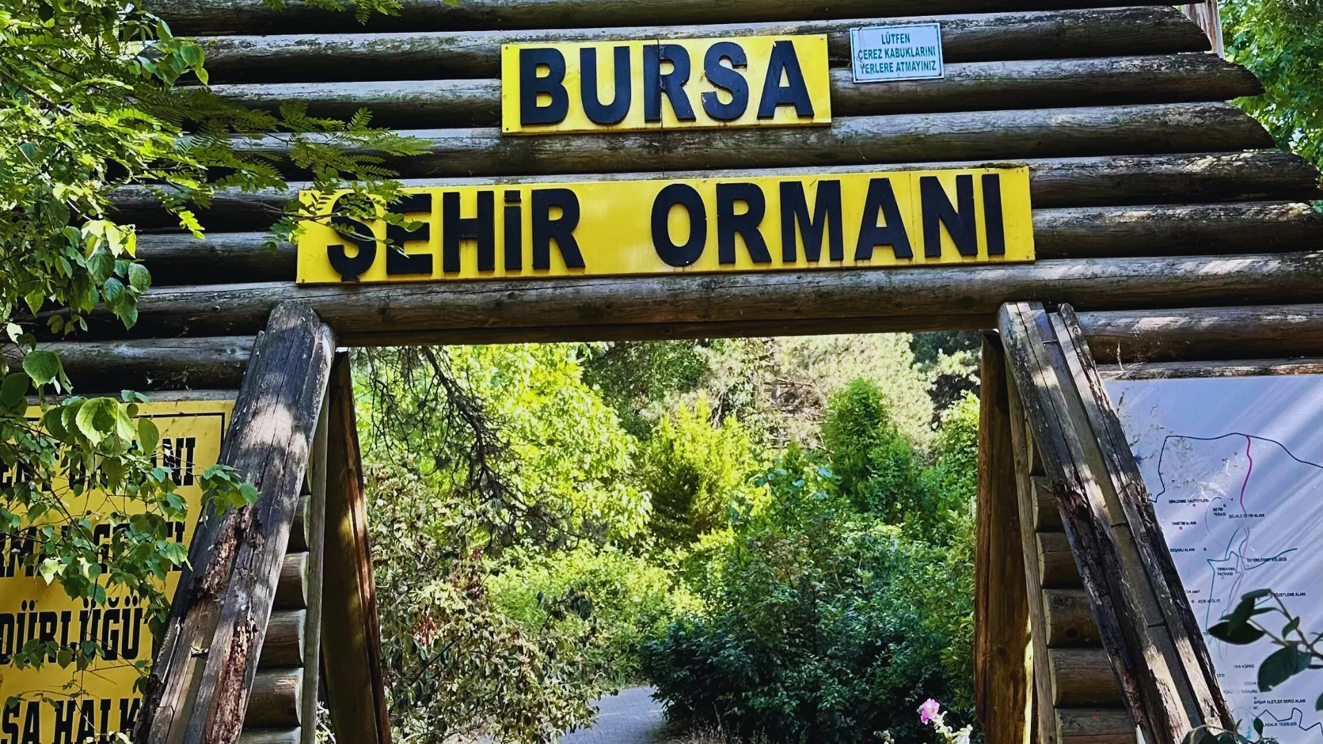 Aral Mesire Alanı