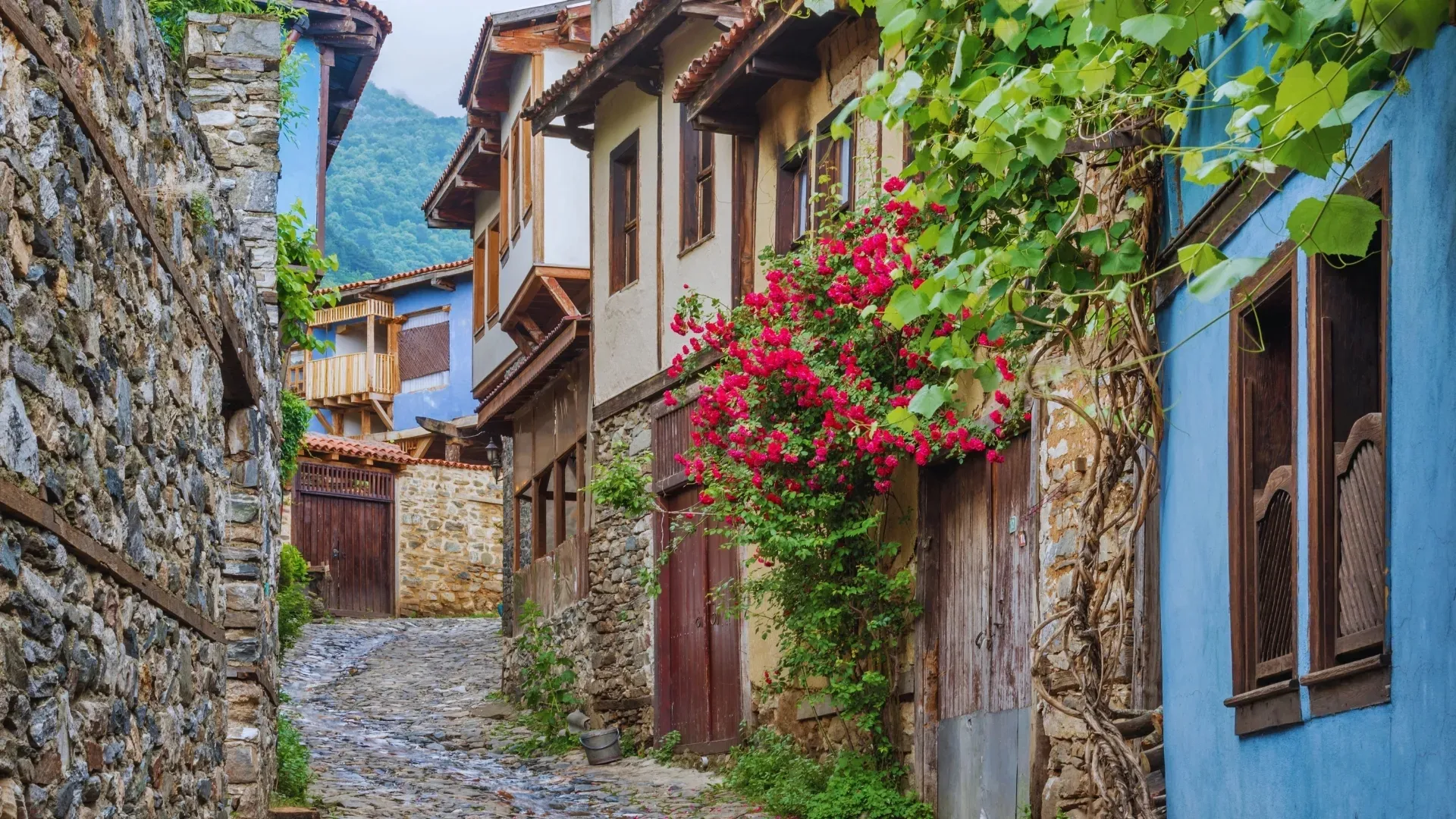 Cumalıkızık Village