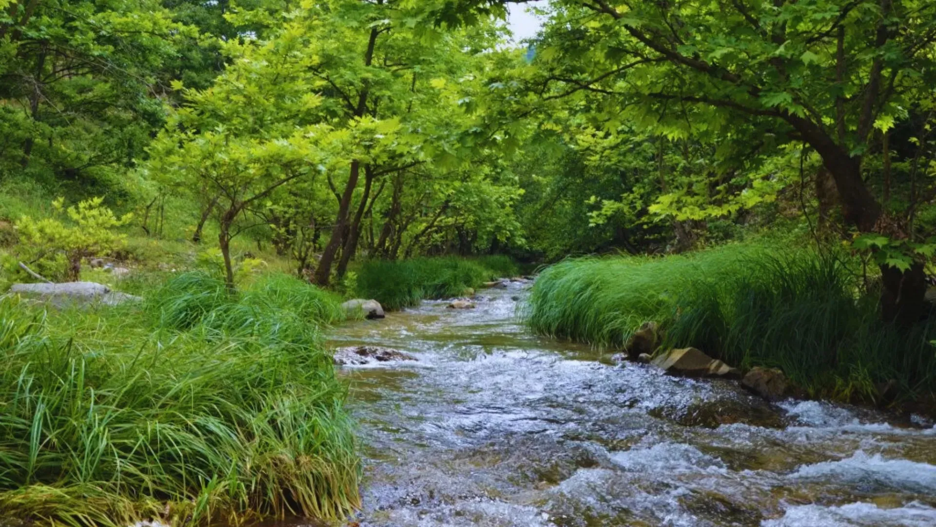 Tacir Canyon