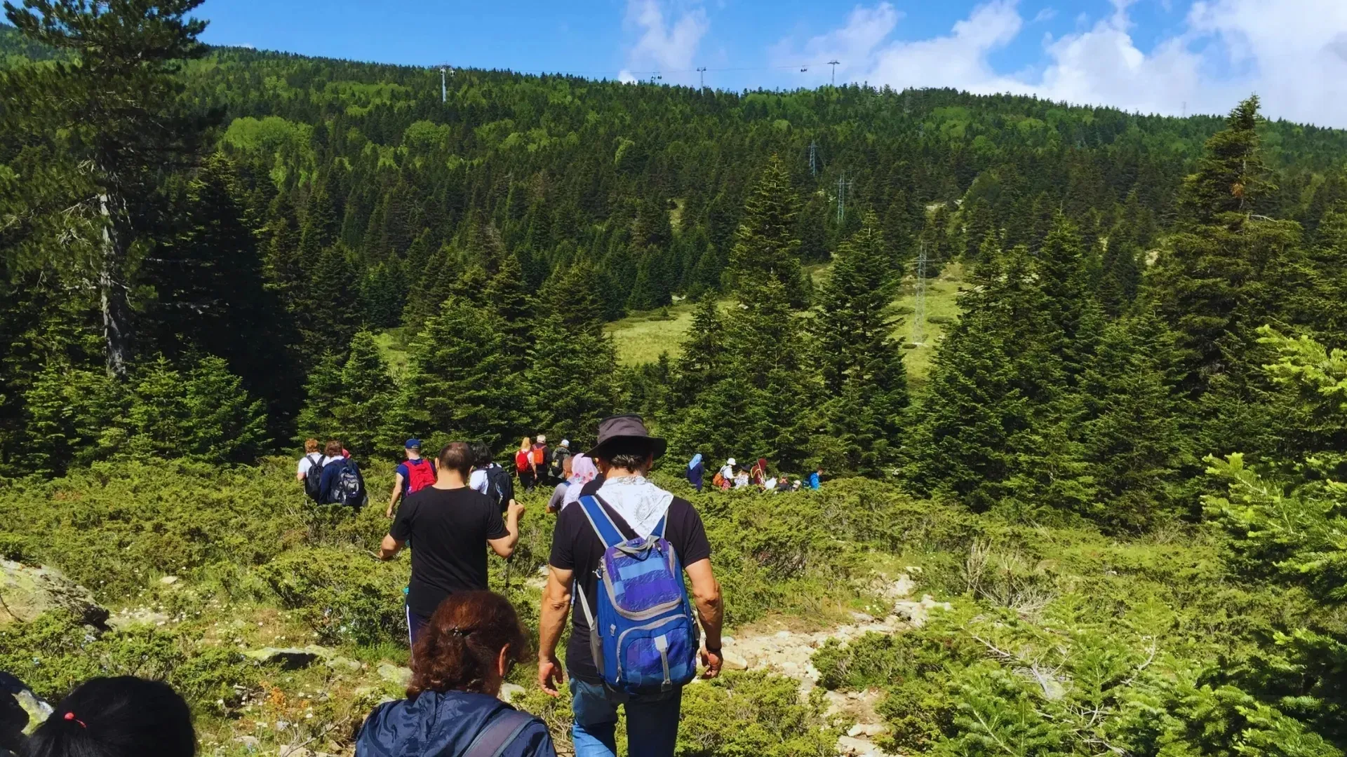 Sarıalan