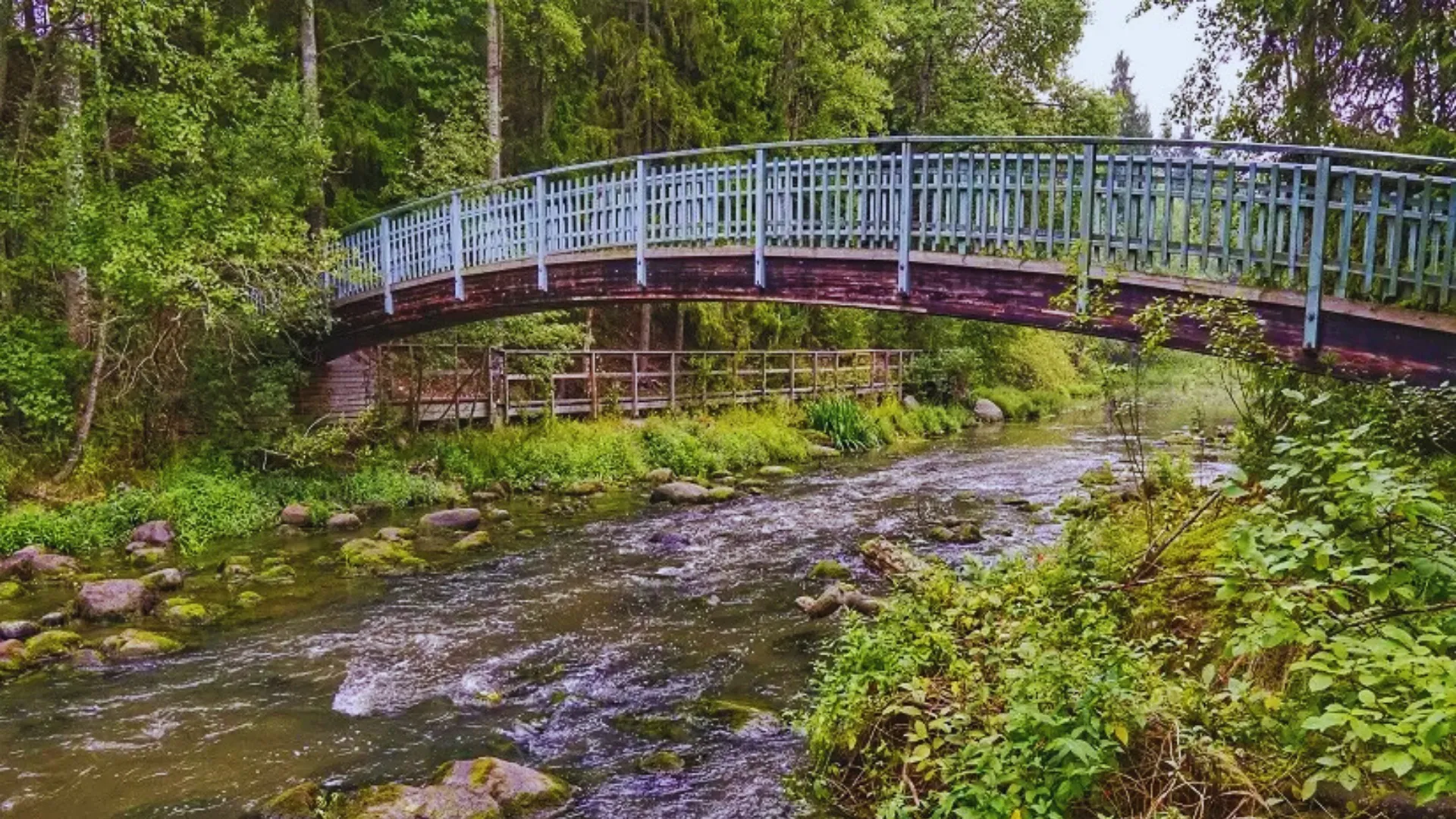 Cerrah Piknik Alanı