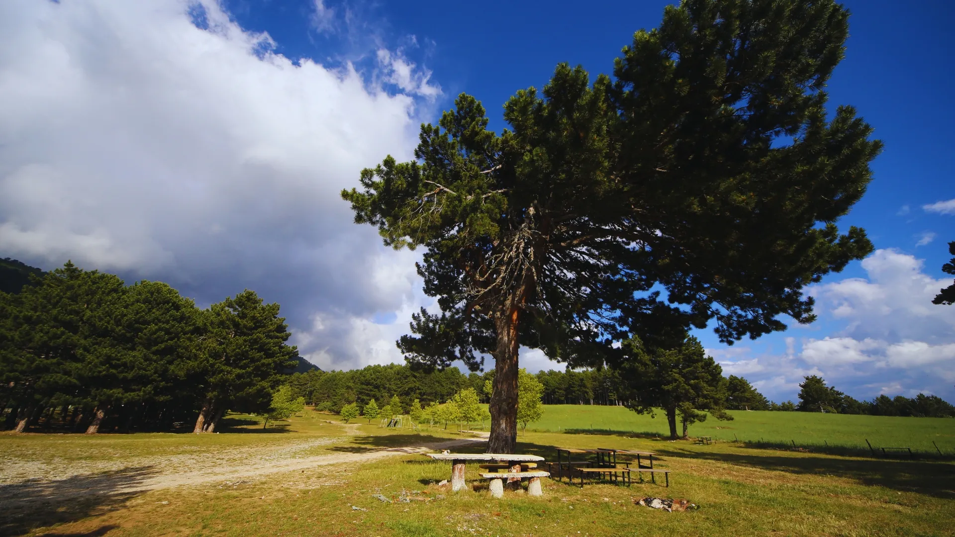 Bağlı Piknik Alanı