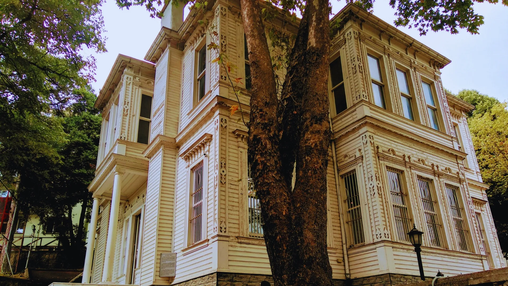 Forestry Museum