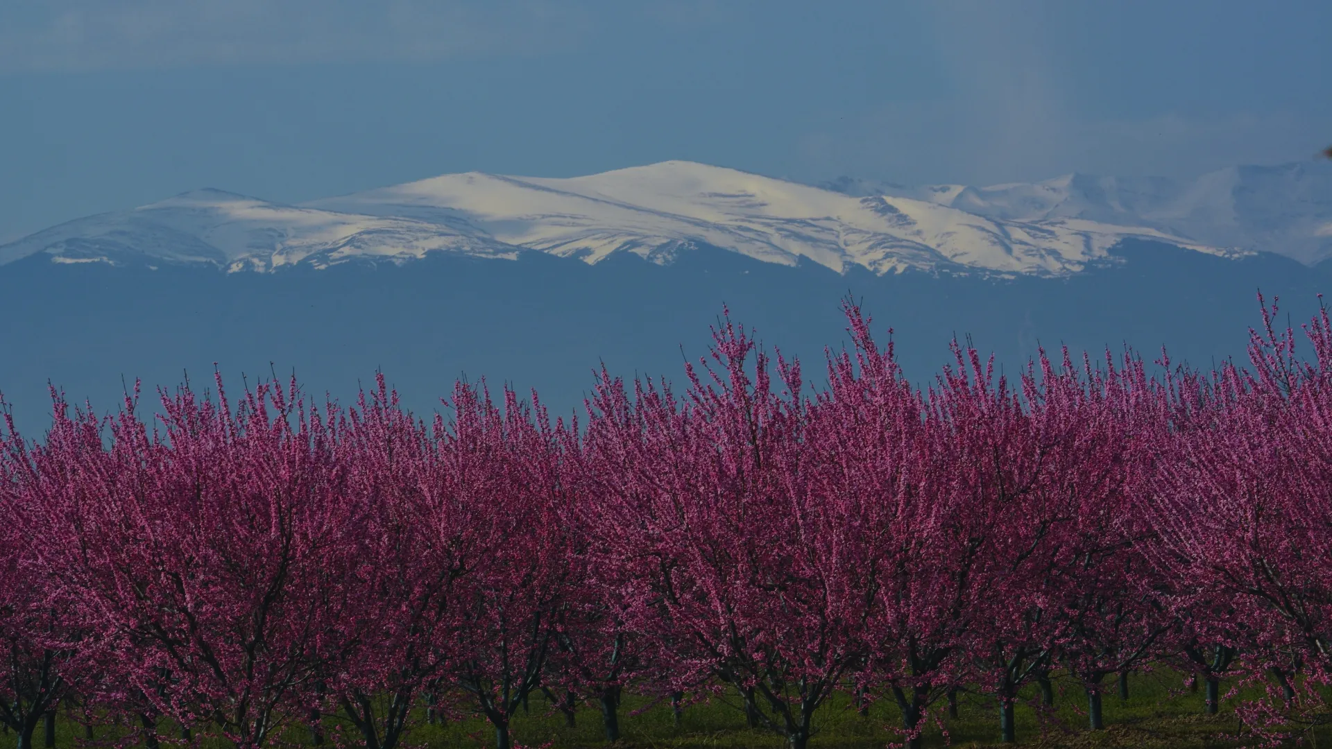The Story of Mount Uludağ