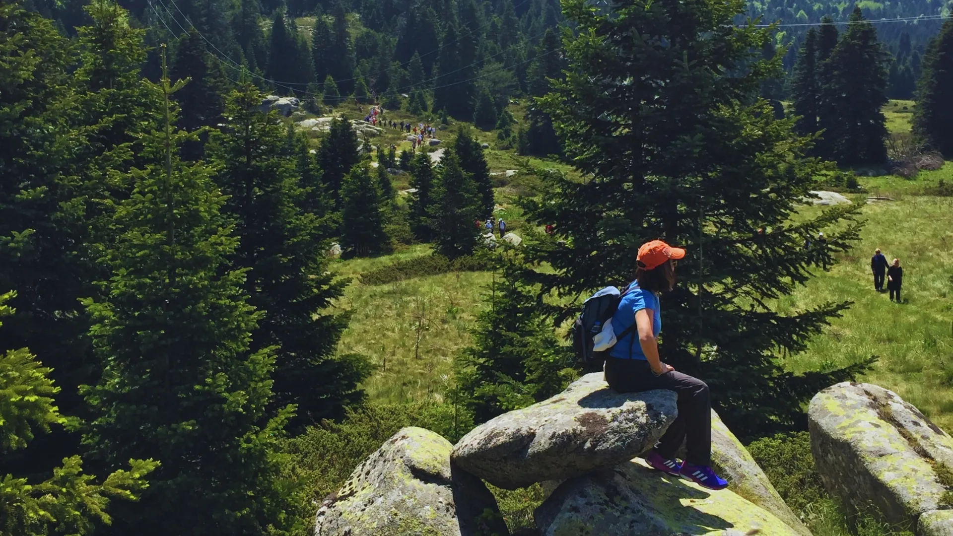 Hiking
